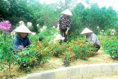 Kinh nghiệm thực hiện tốt tiêu chí môi trường trong xây dựng nông thôn mới